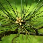 Sentier Histoire & Nature